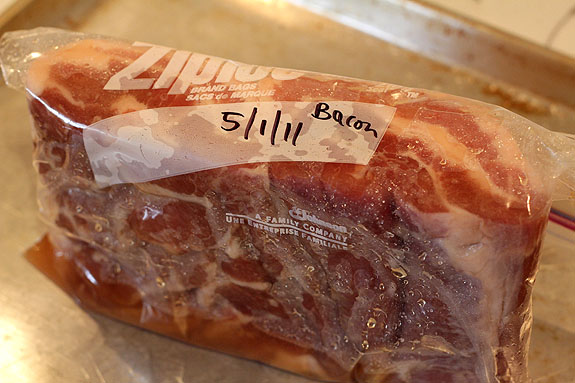 bacon-maplebrine