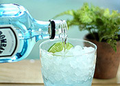 A Classic Gin and Tonic