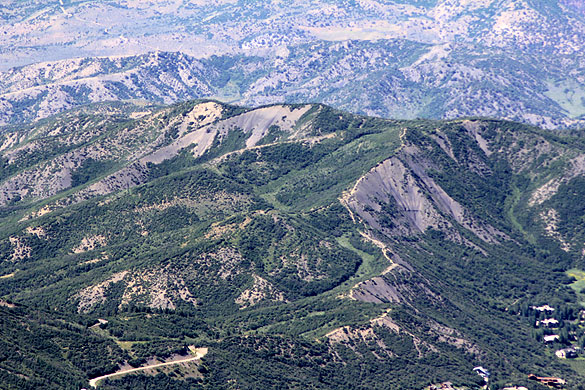 Snowmass Culinary and Arts Festival