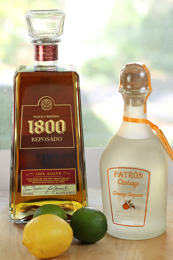 The BEST Fresh Margarita